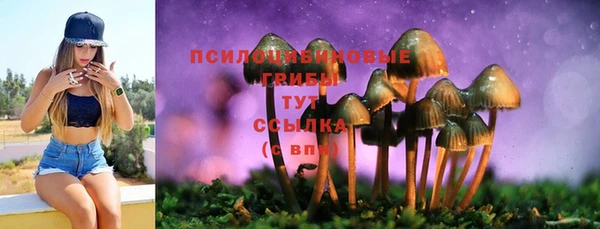таблы Аркадак