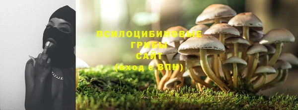 ECSTASY Няндома