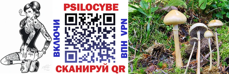 дарнет шоп  Великий Устюг  Галлюциногенные грибы мухоморы 